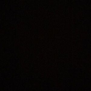 Meet your Posher, Bradley